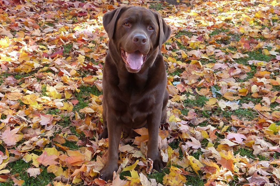 Voici la photo gagnante pour le mois de novembre