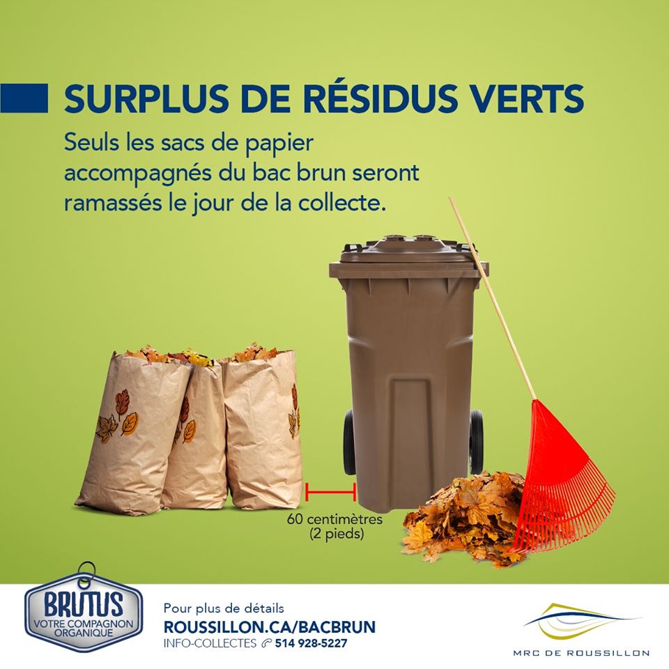 brutus sac feuilles