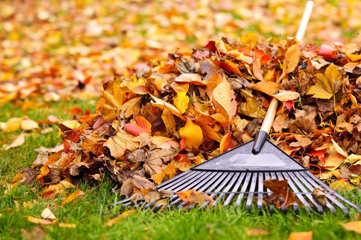 GARDELYS Sac Feuilles et Branches