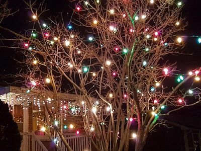 Les décorations de Noël de 2016