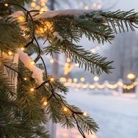 Ensemble, illuminons Léry !