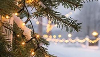 Ensemble, illuminons Léry !