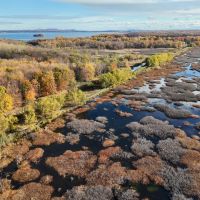 Héritage Saint-Bernard célèbre 40 ans d’engagement pour la nature 