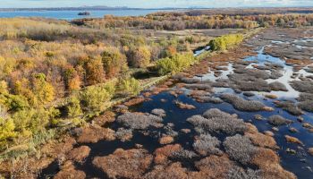 Héritage Saint-Bernard : Soirée-bénéfice au profit de la nature