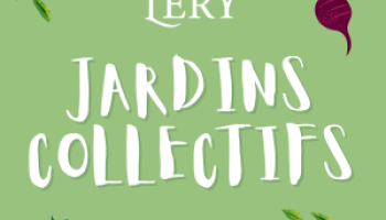 Cet été à Léry : la toute première édition des Soirées-O-Quai !