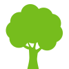 Abattage d'arbres