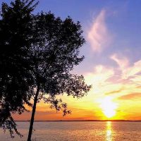 Résultat projets bande riveraines et nichoirs à hirondelle