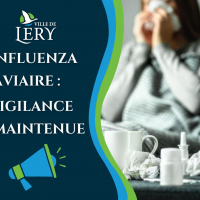 Influenza aviaire : vigilance maintenue