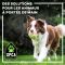 SPCA Roussillon